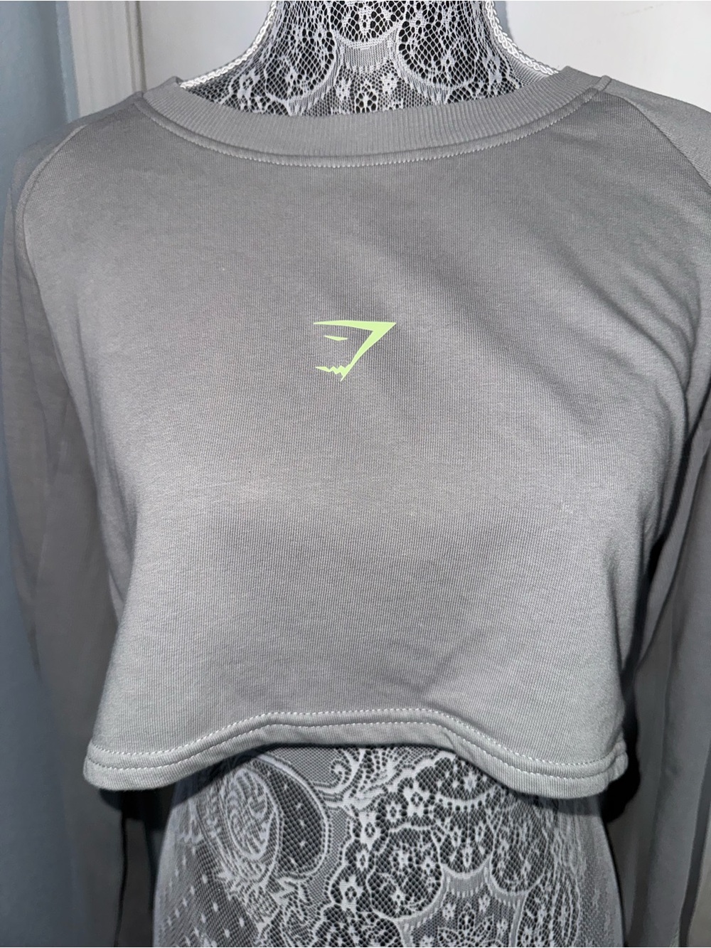 Gymshark Grey Cropped Long-sleeve crewneck
